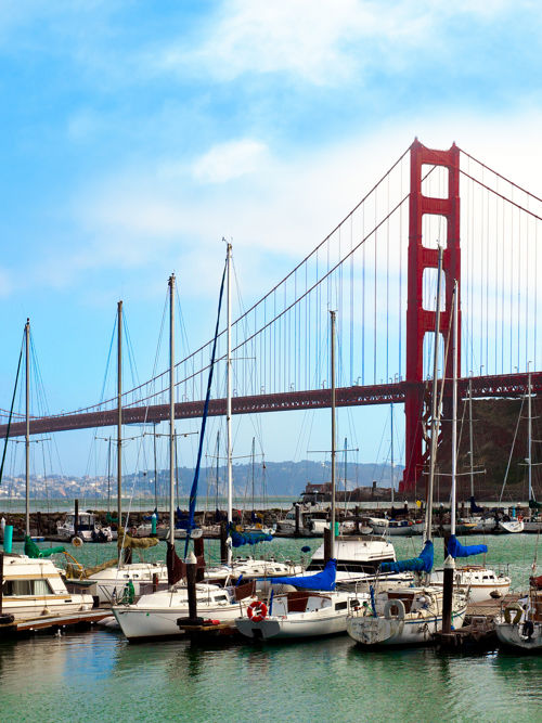 Chestnut Street and the Marina District