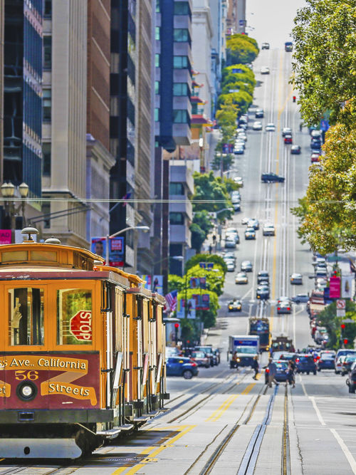 San Fransisco City Guides