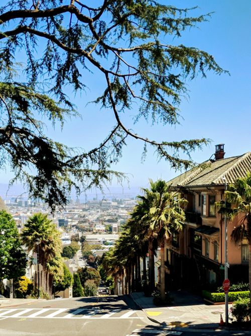 Alta Plaza Park