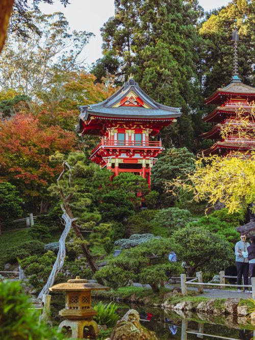 Golden Gate Park